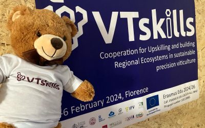 VTskills. We are halfway through the project!
