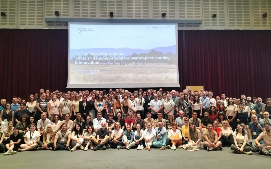 Seminars and networking