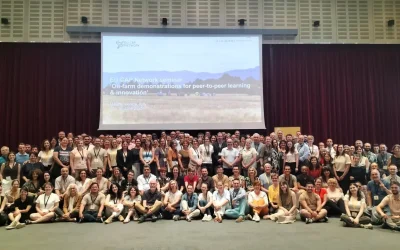 Seminars and networking