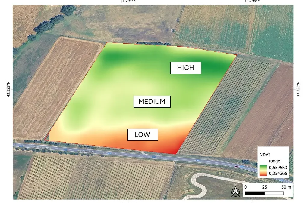VTskills. September means harvest: fully understanding the state of ripeness